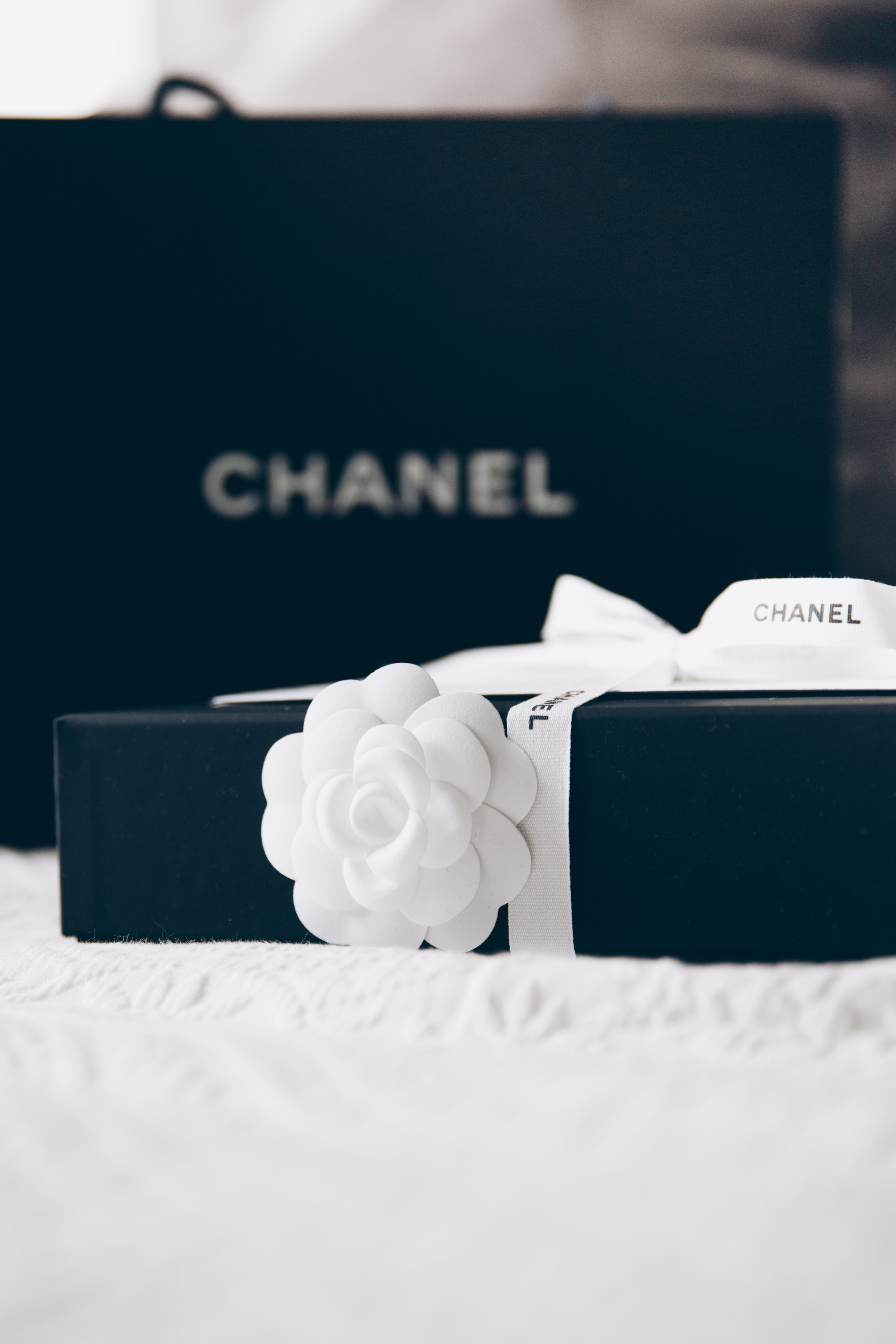Review: Chanel Wallet on Chain WOC - You rock my life